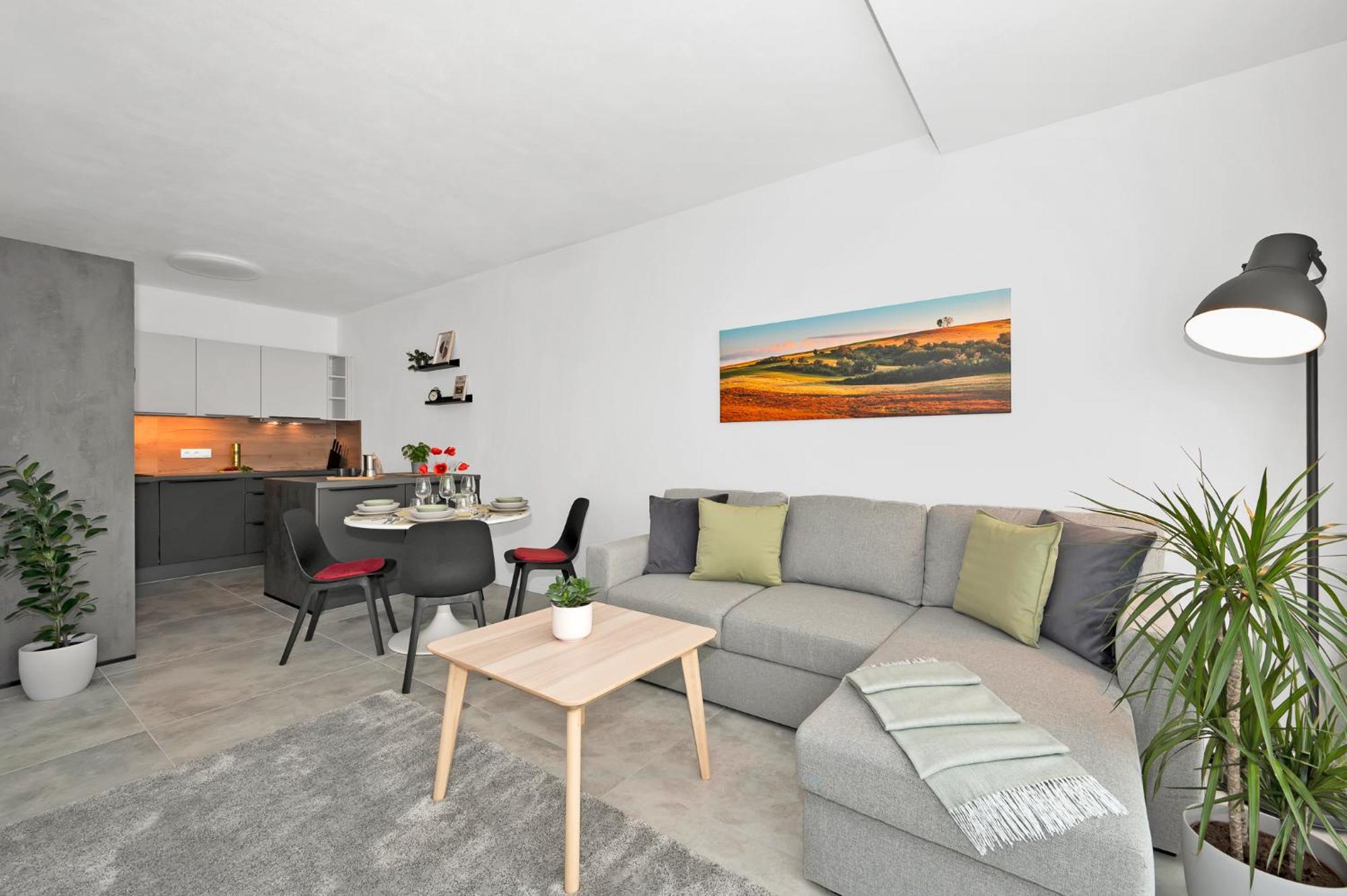 Fully Equipped Apartments With Terraces, Free Garage Parking, Netflix & Ac - By Apartmany Slapanice Cz Esterno foto